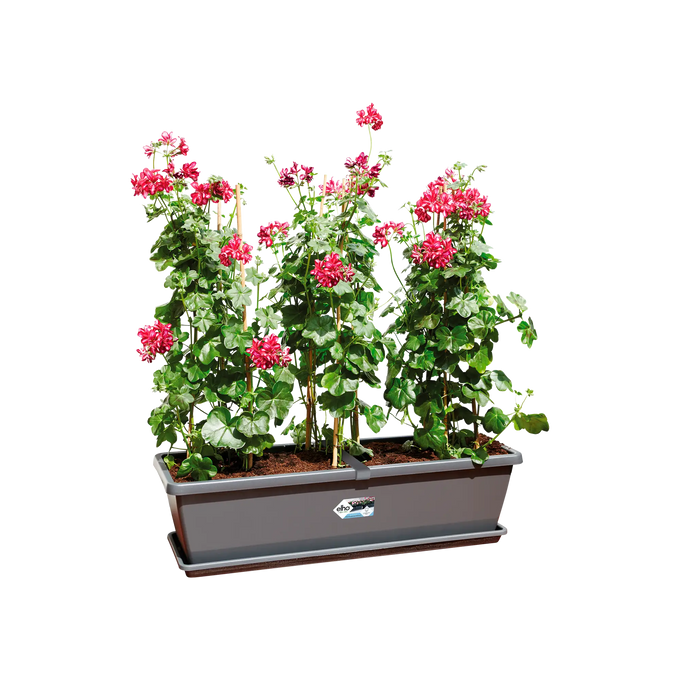 Barcelona Xl Anthracite - Image 3