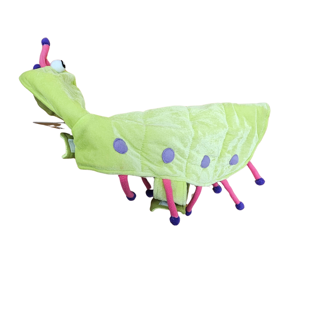 Halloween costume for dogs - green bug costume | 40cm - Image 3