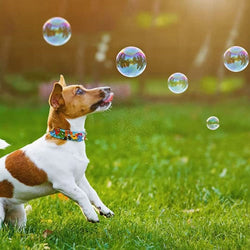 Bacon Bubbles toy packaging with playful bacon-themed design, available at Keans Claremorris store.