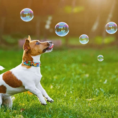 Bacon Bubbles toy packaging with playful bacon-themed design, available at Keans Claremorris store.