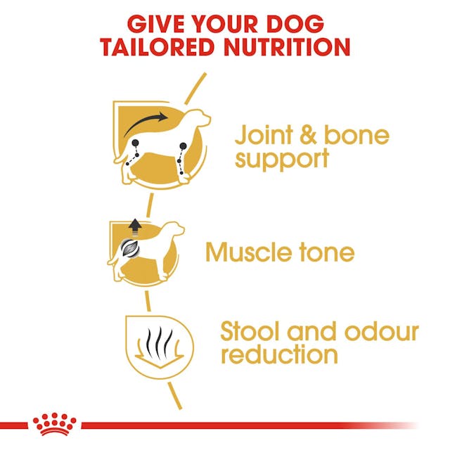 Royal Canin Dachshund Adult Dog Food 7.5kg bag, premium nutrition for adult dachshunds, available at Keans Claremorris.