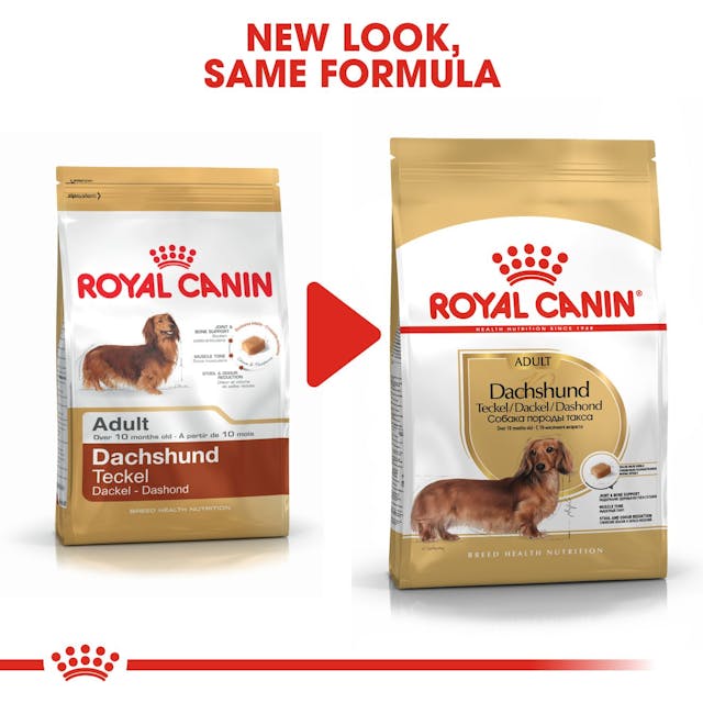 Royal Canin Dachshund Adult Dog Food 7.5kg bag available at Keans Claremorris