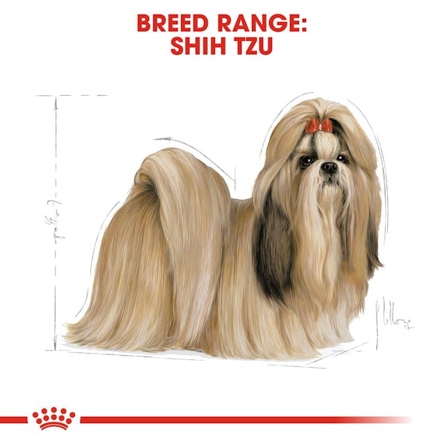 Royal Canin Shih Tzu Adult Dog Food 1.5kg pack available at Keans Claremorris