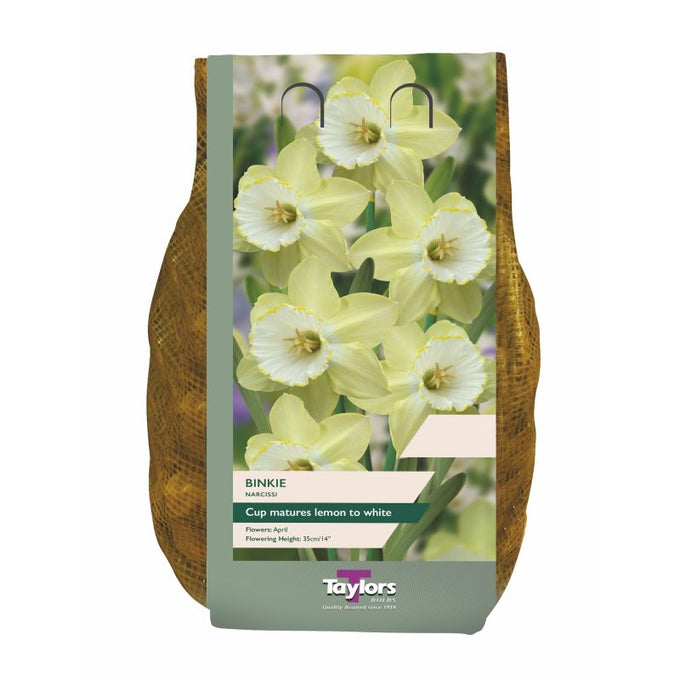 Taylors Narcissi ‘Binkie’ – 1.5kg Carri-Pack - Image 1