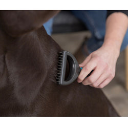 Universal Groomer for Dogs and Cats 7x18cm - Pet Hair Removal Brush | Keans Claremorris