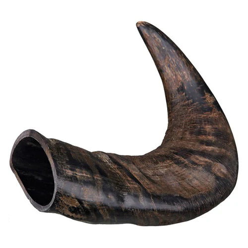 Genuine Buffalo Flavor Dog Chewing Horn S - Image 2