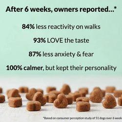 Nutri Paw Calming Treats for Dogs – 120 Soft Chews