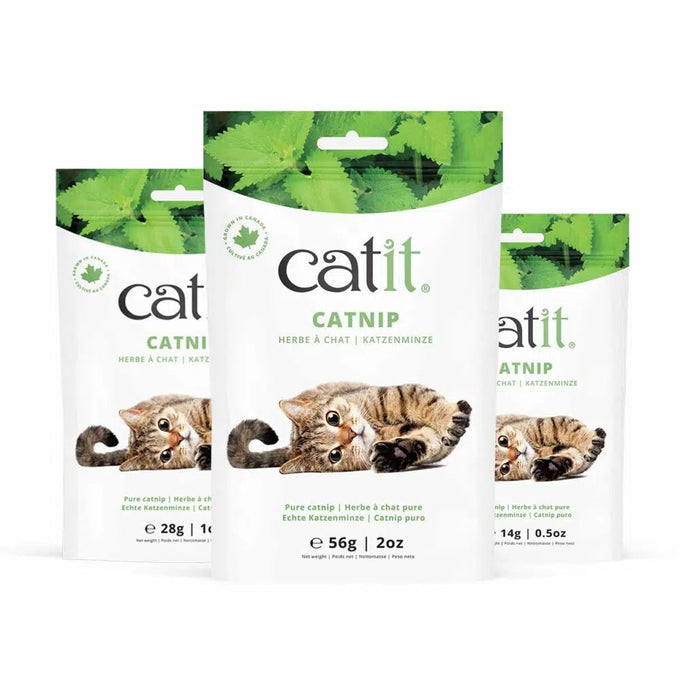 Catit Catnip 28g - pure Canadian dried catnip leaves and flowers for playful, relaxed cats | Keans Claremorris