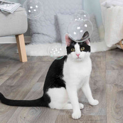 Catnip Bubbles for cats, fun and engaging pet toy by Keans Claremorris