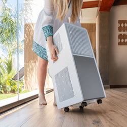 Cecotech 9000 Btu AIr Conditioner Includes Window Kit| 081641
