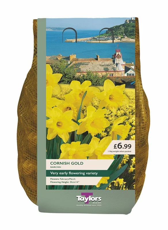 Narcissi ‘Cornish Gold’ – 1.5kg Carri-Pack