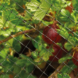 Grow It Crop & Pond Netting 4x2m for garden protection, durable mesh netting – available at Keans Claremorris