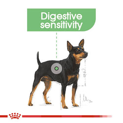 Royal Canin Digestive Care Dog Food Pouch 85g – Healthy Digestion Support – Available at Keans Claremorris