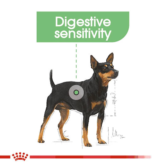 Royal Canin Digestive Care Dog Food Pouch 85g – Healthy Digestion Support – Available at Keans Claremorris