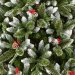 New Jersey Spruce Christmas Tree H180cm - Image 3