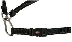 Red waist belt with lead for running dogs, hands-free leash by Keans Claremorris