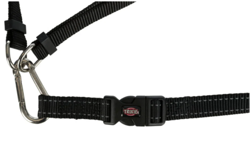 Red waist belt with lead for running dogs, hands-free leash by Keans Claremorris