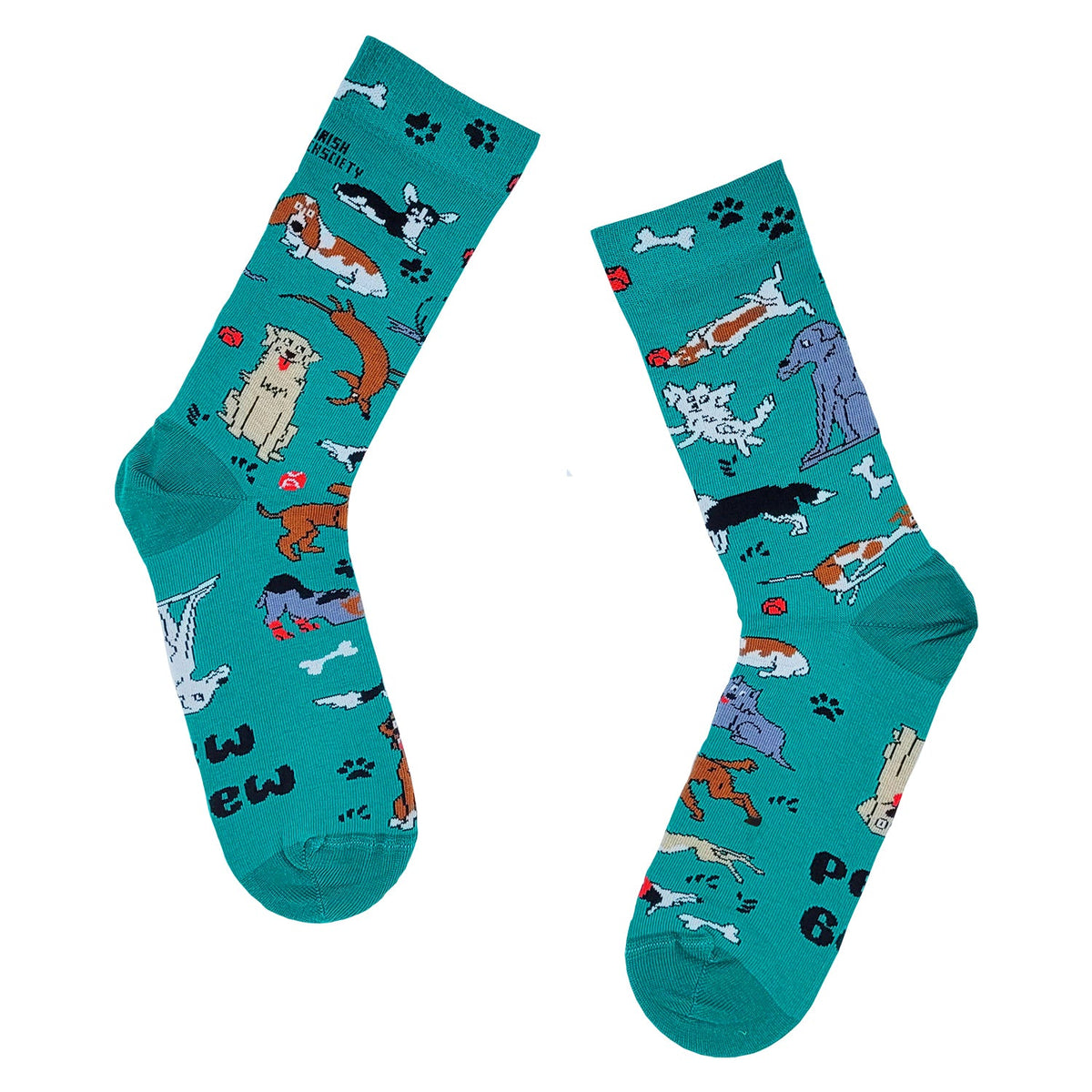 Dog Mad_teal 8-12 size pet accessory, durable and stylish, available at Keans Claremorris.