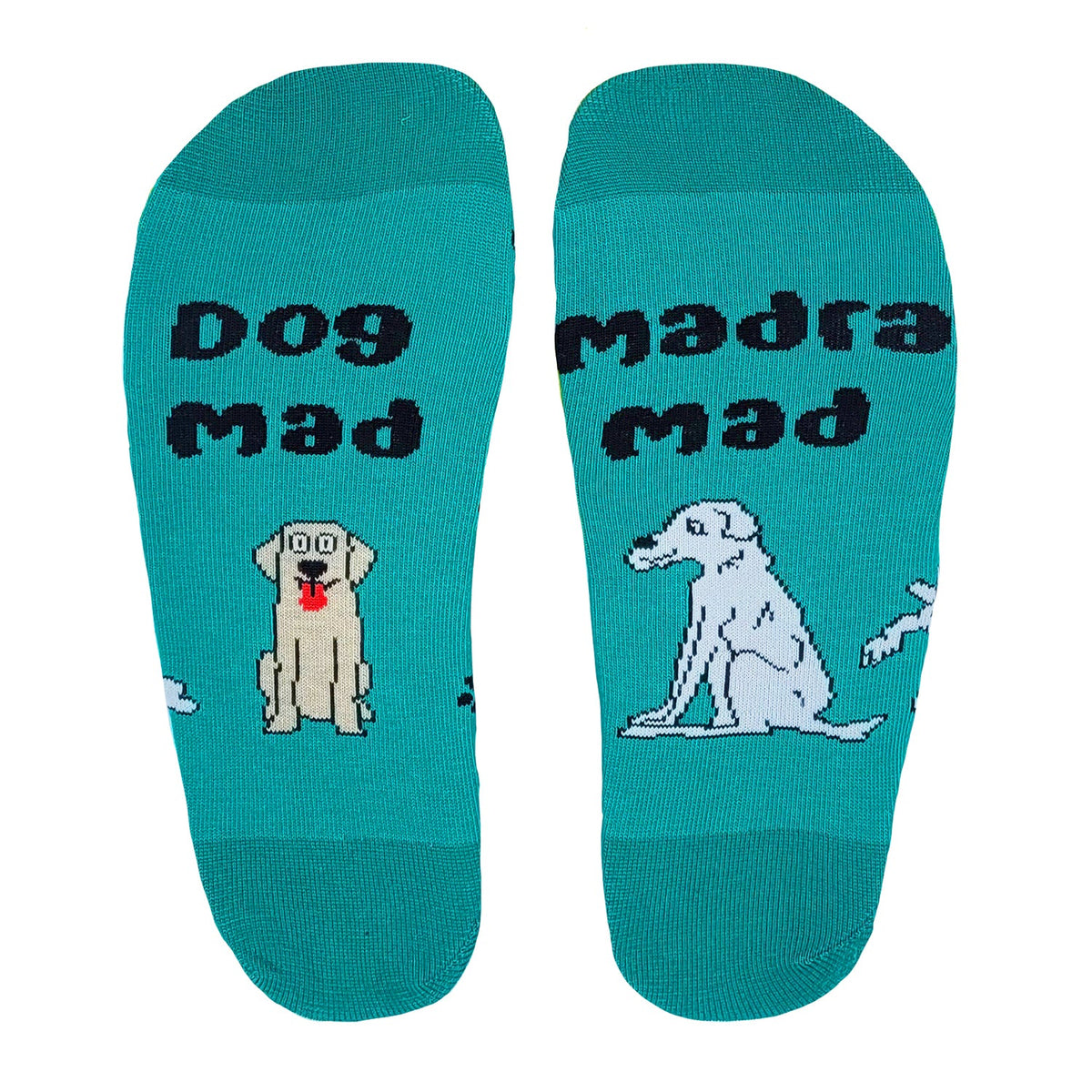 Dog Mad_teal 8-12 adjustable dog collar in teal color, durable design, available at Keans Claremorris.