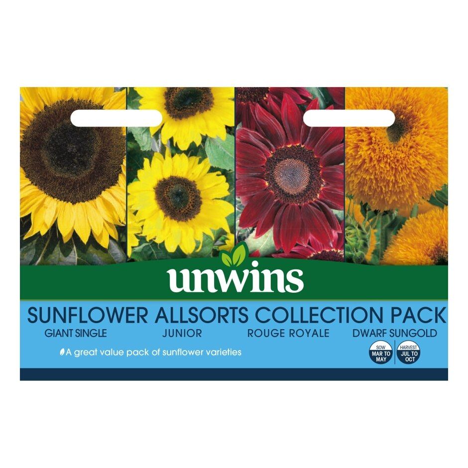 Unwins Sunflower Allsorts Collection Pack seed packet showing four sunflower varieties in yellow, red, and orange hues.