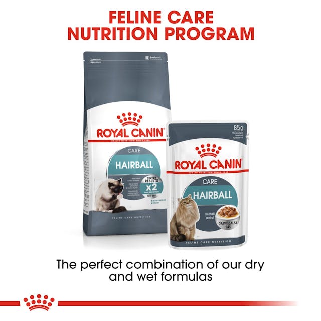 Royal Canin Hair & Skin Cat Food 2kg - Nutritional support for healthy coat, available at Keans Claremorris