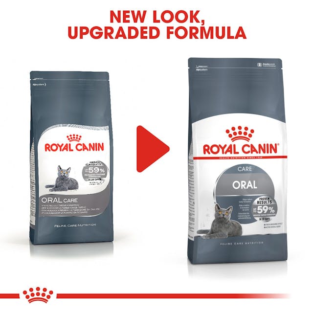 Royal Canin Oral Care Cat Food 1.5kg pack – dental health formula available at Keans Claremorris