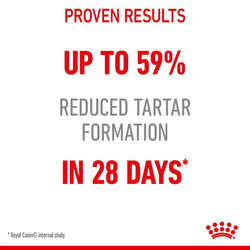 Royal Canin Oral Care Cat Food 1.5kg pack, dental health formula, available at Keans Claremorris