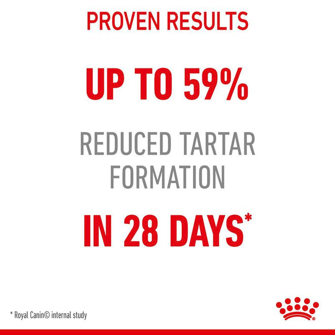 Royal Canin Oral Care Cat Food 1.5kg pack, dental health formula, available at Keans Claremorris