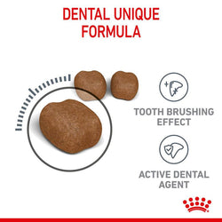 Royal Canin Oral Care Cat Food 1.5kg pack for dental health, available at Keans Claremorris.