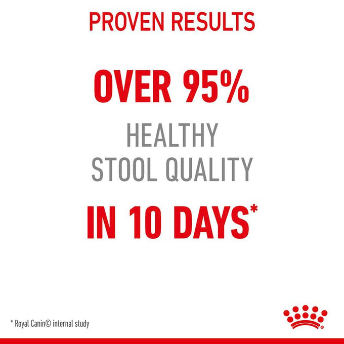 Royal Canin Digestive Care Cat Food 4kg bag, premium nutrition for sensitive digestion, available at Keans Claremorris.