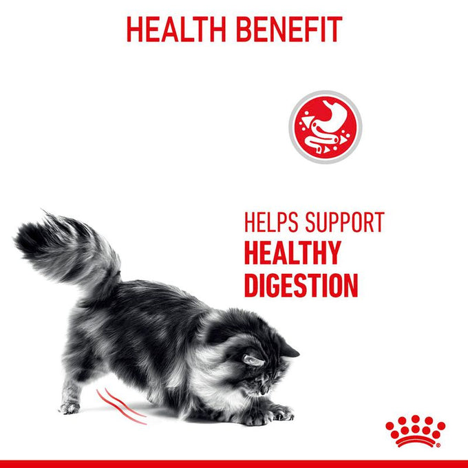 Royal Canin Digestive Care Cat Food 4kg bag for sensitive digestion, available at Keans Claremorris.