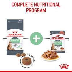 Royal Canin Digestive Care Cat Food 4kg bag, premium nutrition for cats, available at Keans Claremorris.