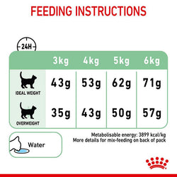 Royal Canin Digestive Care Cat Food 4kg – Premium nutrition for sensitive digestion | Available at Keans Claremorris