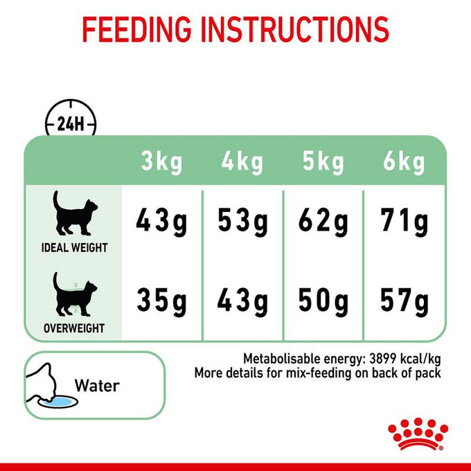 Royal Canin Digestive Care Cat Food 4kg – Premium nutrition for sensitive digestion | Available at Keans Claremorris