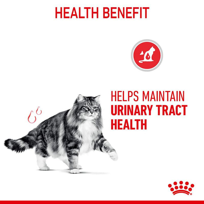 Royal Canin Urinary Care Adult Cat Food 4kg pack available at Keans Claremorris