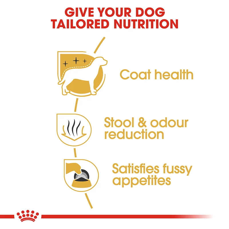 Royal Canin Maltese dog food 1.5kg bag for small breeds, available at Keans Claremorris store.