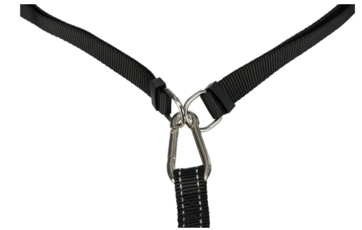 Red waist belt with lead for running dogs, hands-free leash by Keans Claremorris, durable and adjustable design.