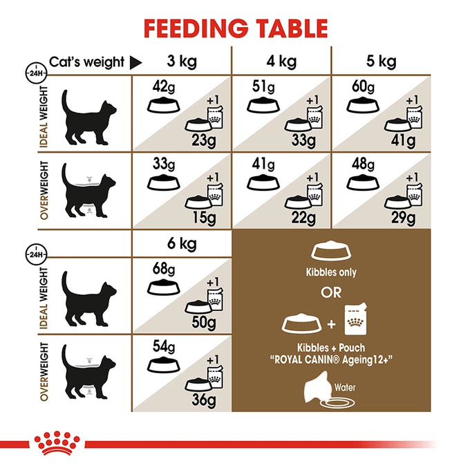 Royal Canin Senior Cat Ageing 12+ Dry Food 2kg – Nutritional Support for Older Cats | Available at Keans Claremorris