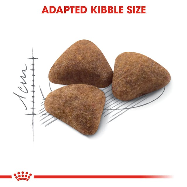 Royal Canin Indoor Cat Food 4kg bag for adult indoor cats, available at Keans Claremorris store.