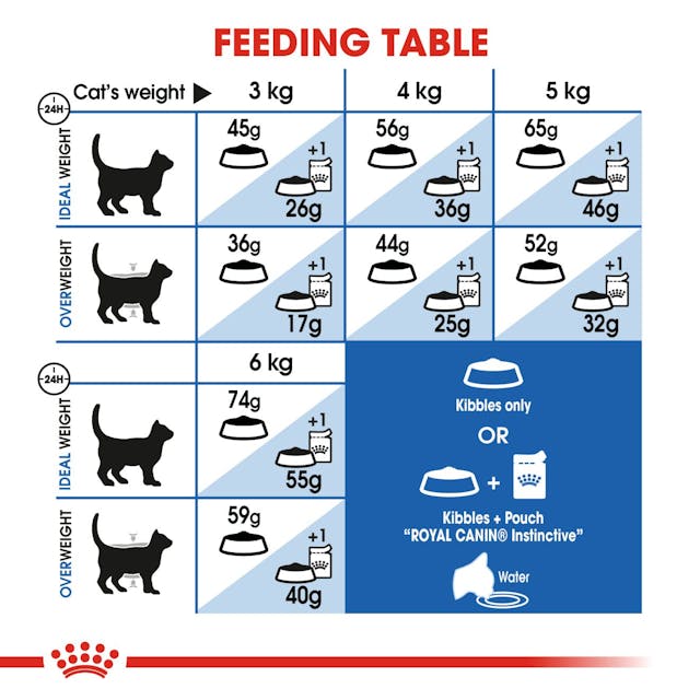 Royal Canin Indoor Cat Food 4kg bag for indoor cats, available at Keans Claremorris store.