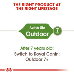 Royal Canin Outdoor Cat Food 4kg bag - premium nutrition for active cats | Available at Keans Claremorris