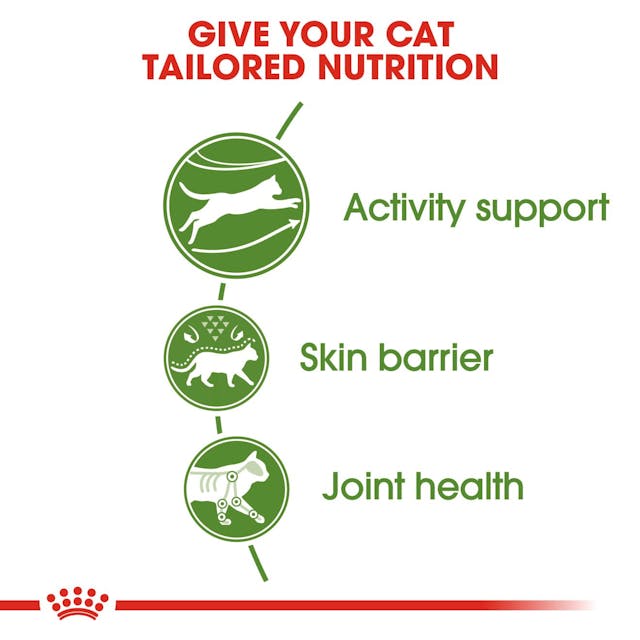 Royal Canin Outdoor Cat Food 4kg bag, premium nutrition for active cats, available at Keans Claremorris.