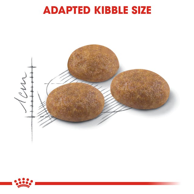 Royal Canin Outdoor Cat Food 4kg bag, premium nutrition for active cats, available at Keans Claremorris.