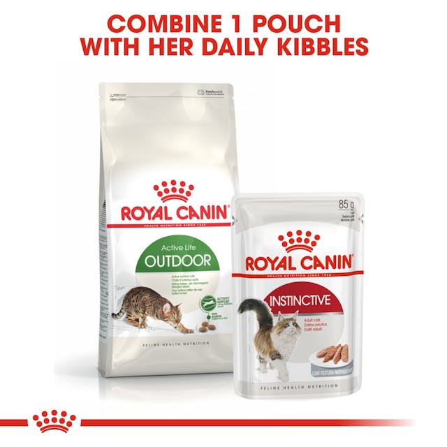 Royal Canin Outdoor Cat Food 4kg bag, premium nutrition for active cats, available at Keans Claremorris.