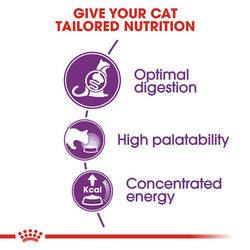Royal Canin Sensible Cat Food 2kg bag, premium nutrition for sensitive cats, available at Keans Claremorris.