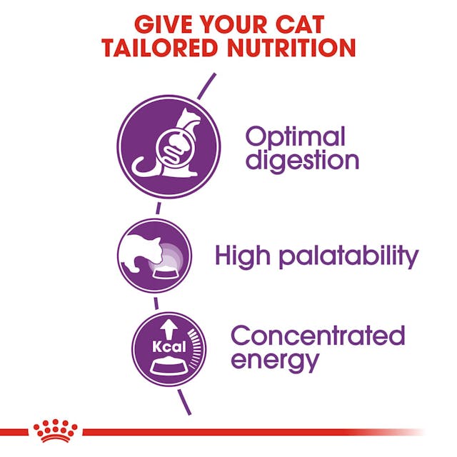 Royal Canin Sensible Cat Food 2kg bag, premium nutrition for sensitive cats, available at Keans Claremorris.
