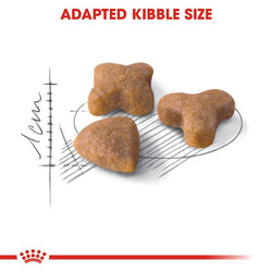 Royal Canin Sensible Cat Dry Food 2kg bag – Balanced nutrition for sensitive cats | Available at Keans Claremorris
