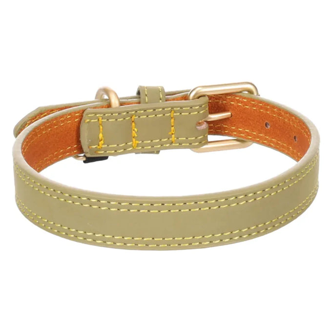 Flamingo Dog Collar Virginia - Green - Image 2