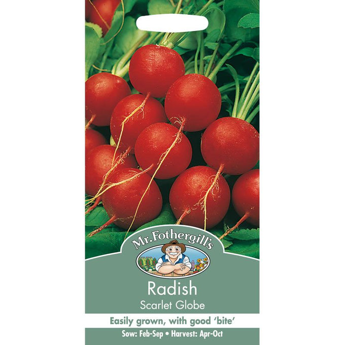Radish Scarlet Globe - Image 1