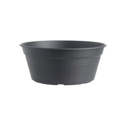 Green Basics Bowl Living Black